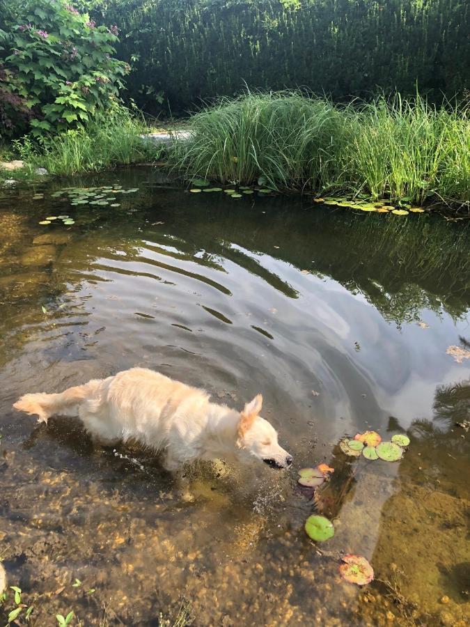 Millies Hosting - Familienurlaub Mit Hund In Kaernten Sankt Paul im Lavanttal Eksteriør bilde