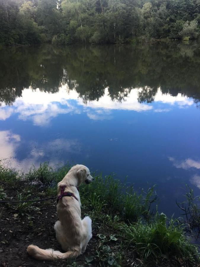 Millies Hosting - Familienurlaub Mit Hund In Kaernten Sankt Paul im Lavanttal Eksteriør bilde