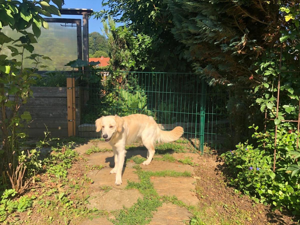 Millies Hosting - Familienurlaub Mit Hund In Kaernten Sankt Paul im Lavanttal Eksteriør bilde