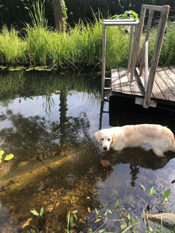 Millies Hosting - Familienurlaub Mit Hund In Kaernten Sankt Paul im Lavanttal Eksteriør bilde