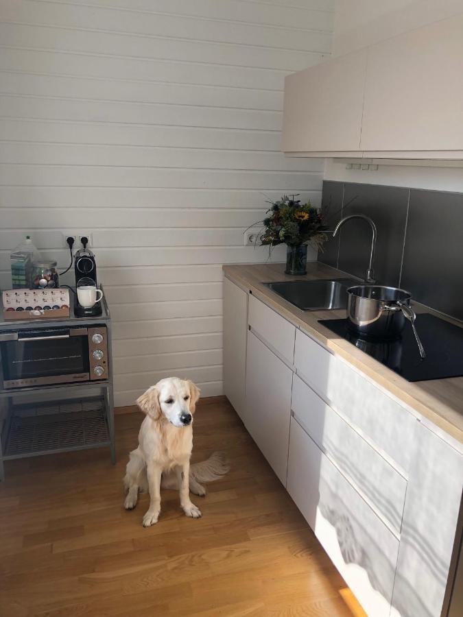 Millies Hosting - Familienurlaub Mit Hund In Kaernten Sankt Paul im Lavanttal Eksteriør bilde