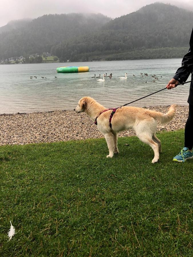 Millies Hosting - Familienurlaub Mit Hund In Kaernten Sankt Paul im Lavanttal Eksteriør bilde