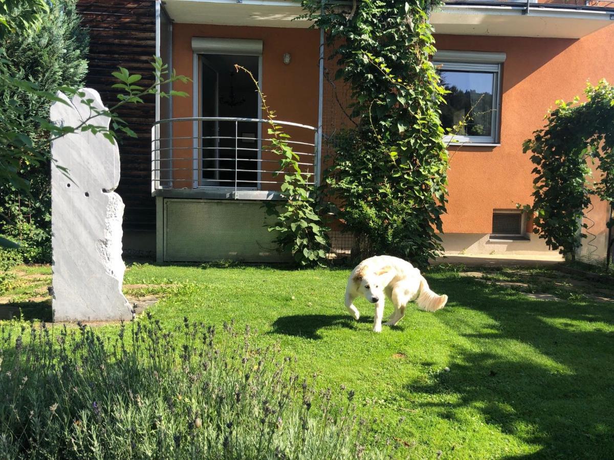 Millies Hosting - Familienurlaub Mit Hund In Kaernten Sankt Paul im Lavanttal Eksteriør bilde