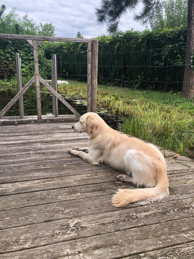 Millies Hosting - Familienurlaub Mit Hund In Kaernten Sankt Paul im Lavanttal Eksteriør bilde