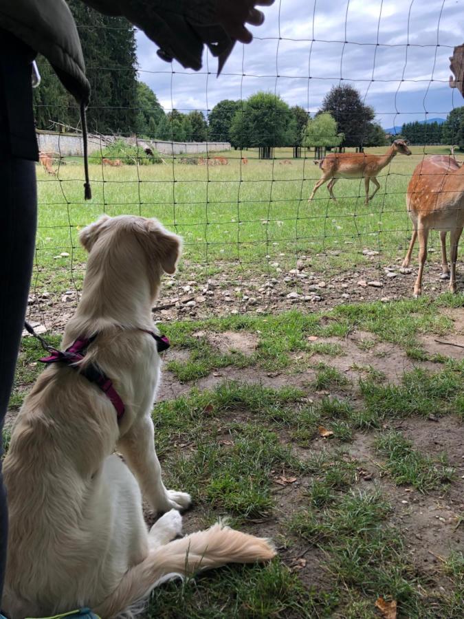 Millies Hosting - Familienurlaub Mit Hund In Kaernten Leilighet Sankt Paul im Lavanttal Eksteriør bilde