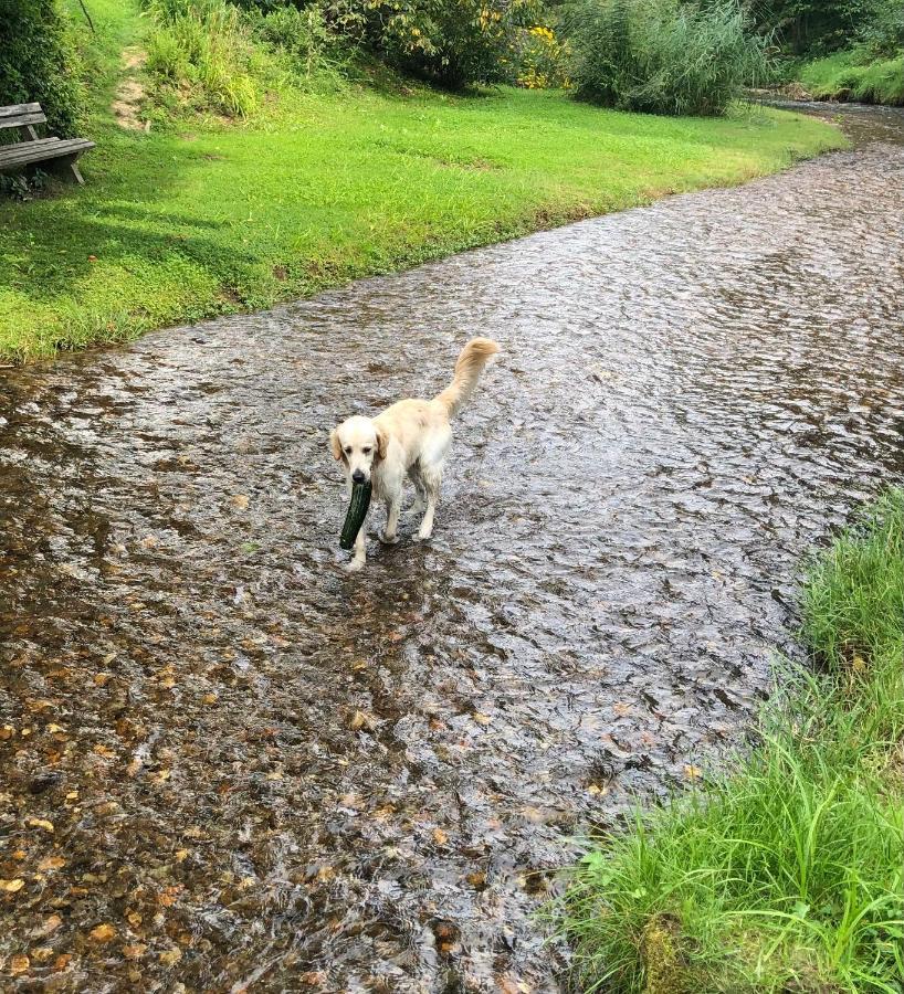 Millies Hosting - Familienurlaub Mit Hund In Kaernten Sankt Paul im Lavanttal Eksteriør bilde