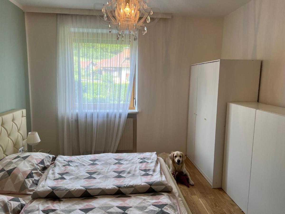 Millies Hosting - Familienurlaub Mit Hund In Kaernten Sankt Paul im Lavanttal Eksteriør bilde